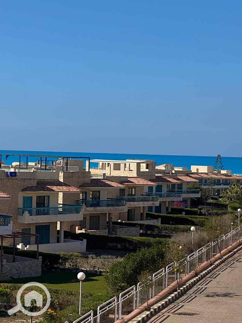 8 23844289-98e7-4bd9-b231-c2502de2873a. jpg