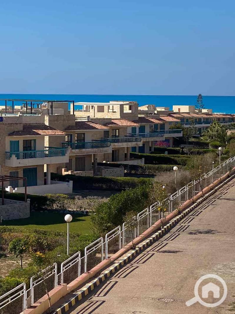 9 8f9a0cd4-d381-4ebd-8492-d55a73748c95. jpg