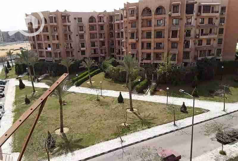 FB_IMG_1764440237477. jpg