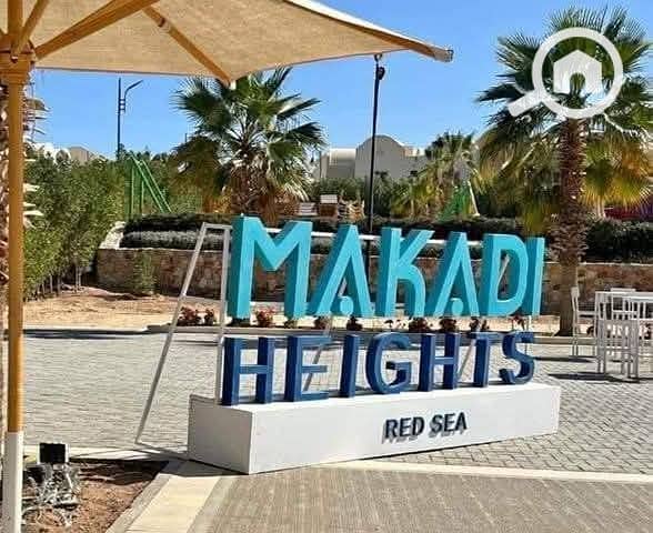 4 515062038_2014243295791780_957228861440506228_n. jpg