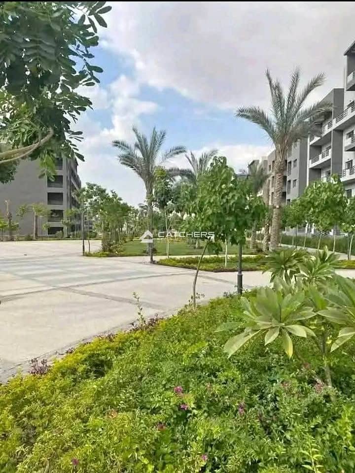 5 59c8ecf5-9a09-4e24-b5fd-4fe38aeb6fdc. JPG