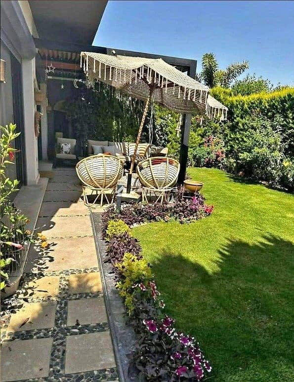 5 915b515e-dd24-4c69-96fc-f032be650335. JPG