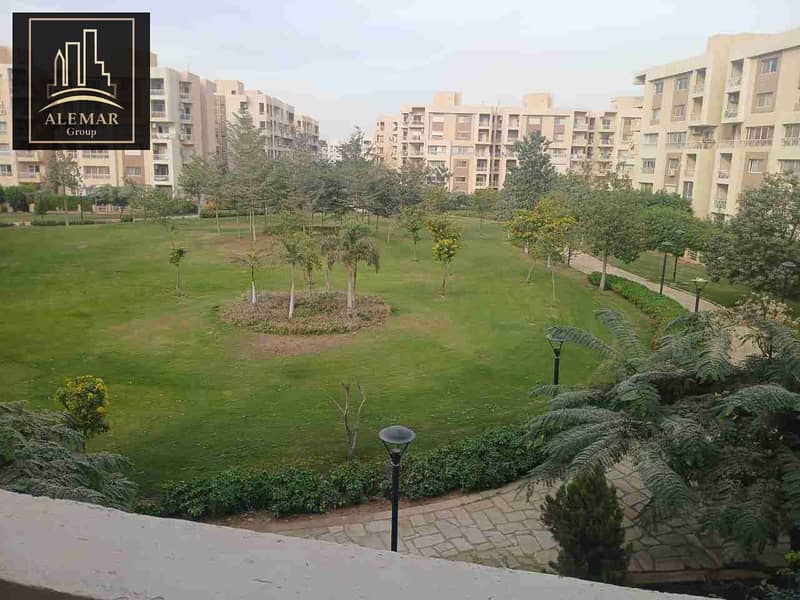 1000535937. jpg 1000535937. jpg