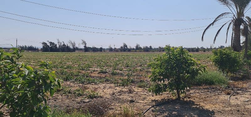 أرض زراعية ٥١ فدان مسجلة،تاني نمرة من طريق مصر اسكندرية الصحراوي