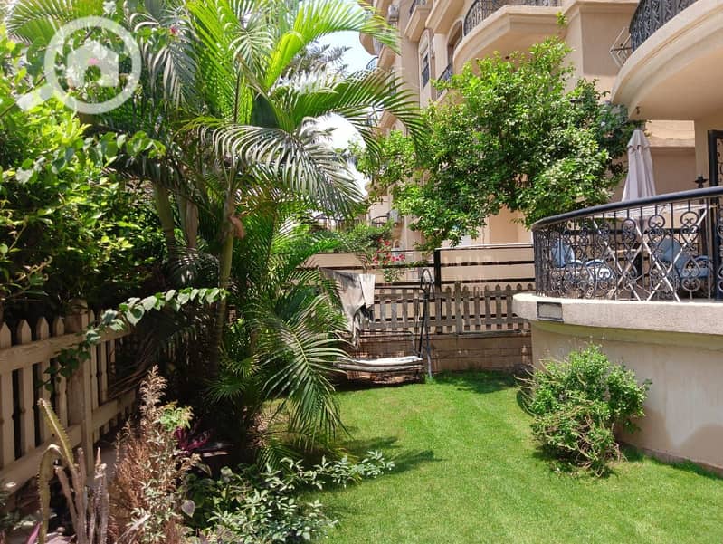 7 3253d59f-7d4e-46df-baf5-25cc6225ee8a. jpeg