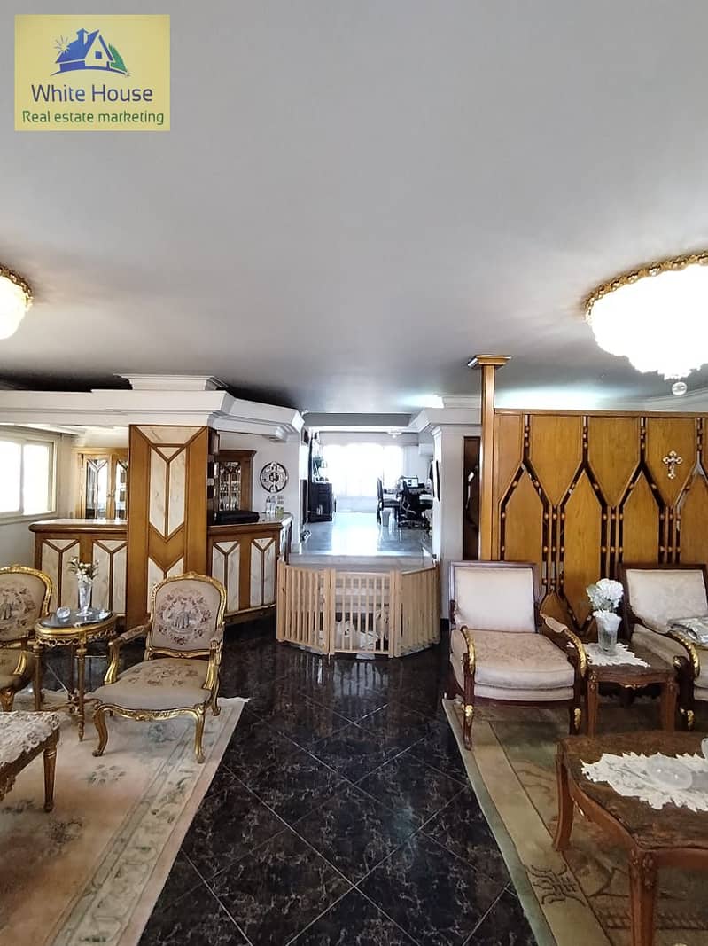 12 f5bc8484-501f-40a3-8562-60ad29a0556a. jpg