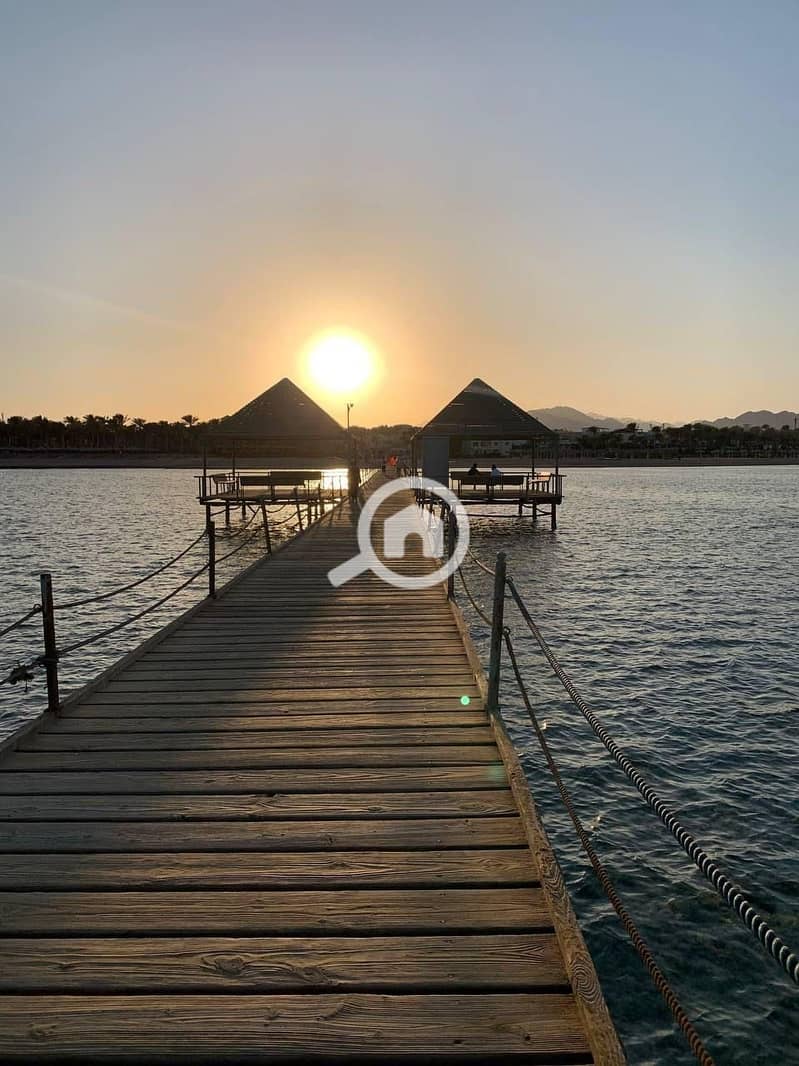 4 2f184a98-6ec6-429c-bf4d-5daba179c3ea. jpg