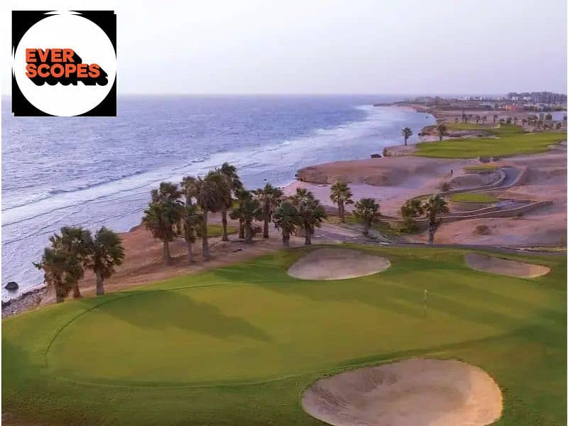 7 34205551-800x600. jpg