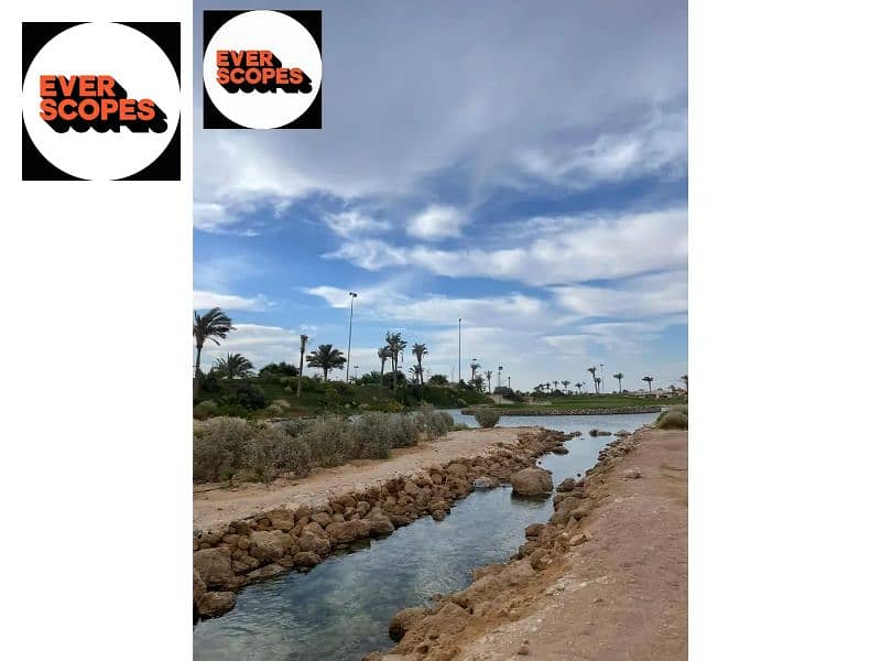 9 34205553-800x600. jpg