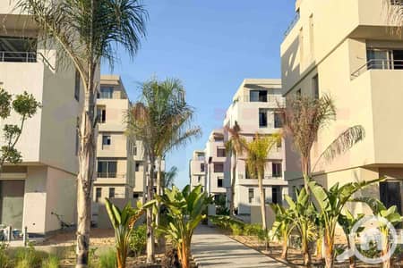 5 Bedroom Villa for Sale in Amreya, Alexandria - WhatsApp Image 2025-11-24 at 7.16. 05 PM (1). jpg 5 Bedroom Villa for Sale in Amreya, Alexandria - WhatsApp Image 2025-11-24 at 7.16. 05 PM (1). jpg