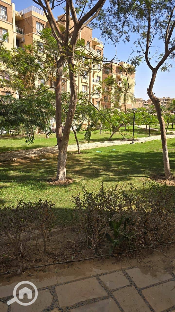 13 a5ce31b1-a40b-49b3-b59a-c21822b8e671. jpg