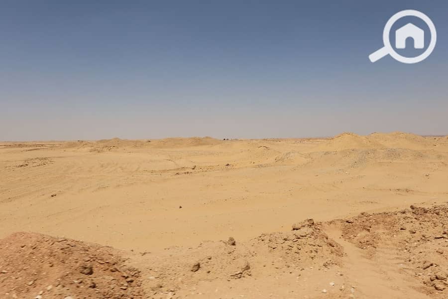 4 WhatsApp Image 2025-11-27 at 11.38. 21_11d361d5. jpg