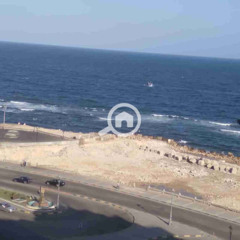 1000223535. jpg 1000223535. jpg