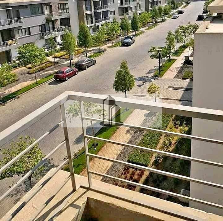 3 584273397_1589367269175218_3392929832939589443_n. jpg