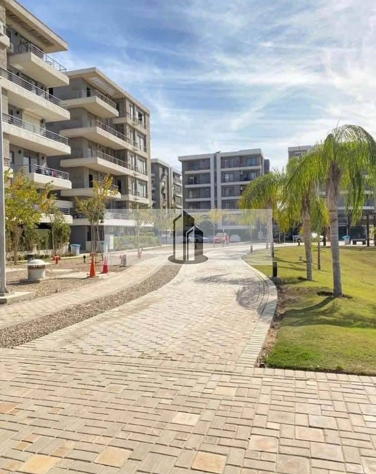 6 585250389_699519949867231_6873824005270134216_n. jpg