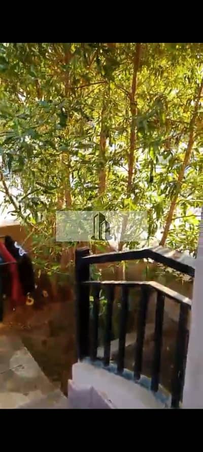 فلیٹ 2 غرفة نوم للبيع في القاهرة الجديدة، القاهرة - WhatsApp Image 2025-11-24 at 3.53. 34 PM. jpeg