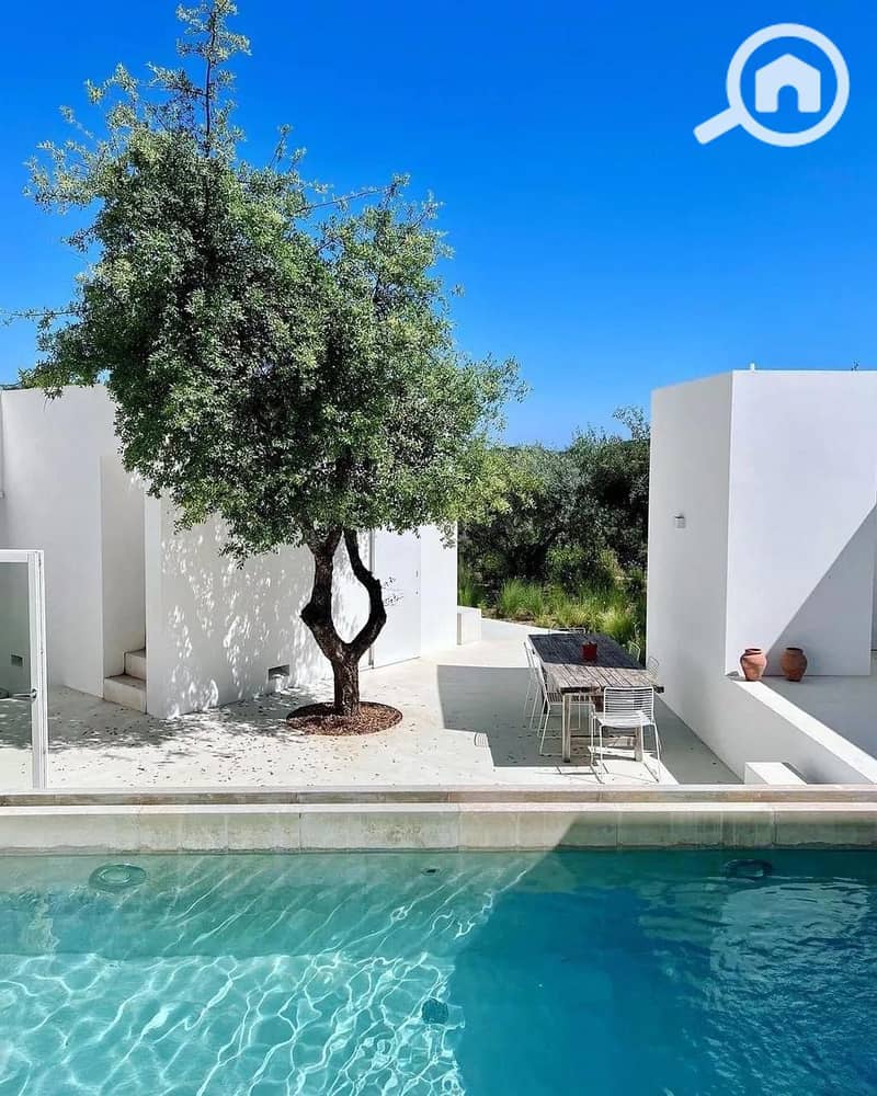 11 11f4d32b-ddab-4bee-b7ed-5cb6d2a03478. jpg