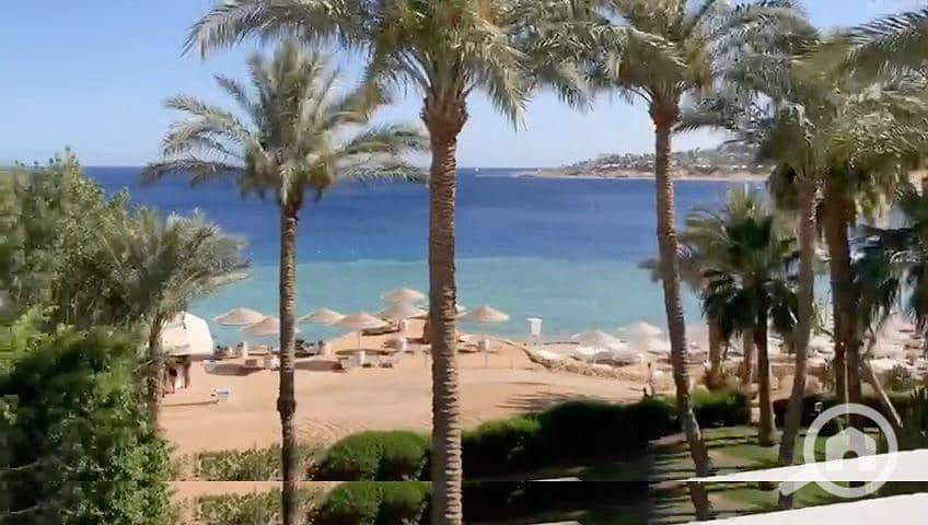 14 3d549070-cd84-423e-b60c-fdc884ba6ee8. jpg