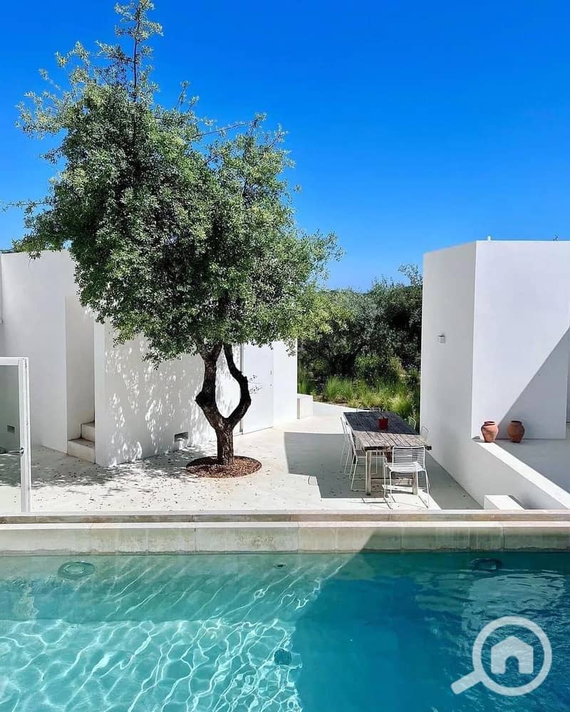 11 11f4d32b-ddab-4bee-b7ed-5cb6d2a03478. jpg