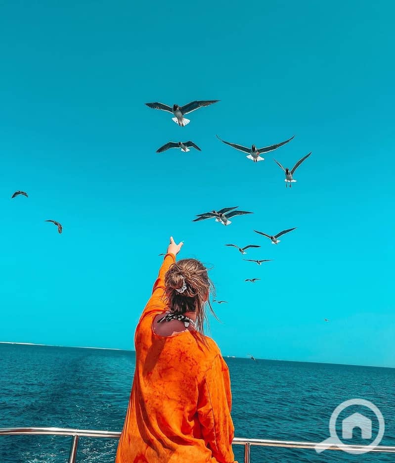 4 sahlhasheesheg_1724173155369. jpeg