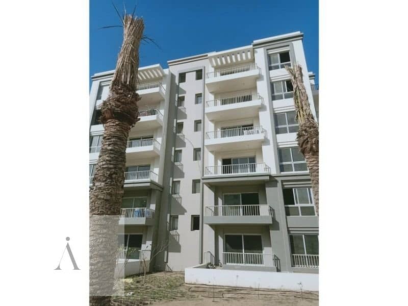 4 WhatsApp Image 2022-09-13 at 1.13. 20 PM (5). jpeg