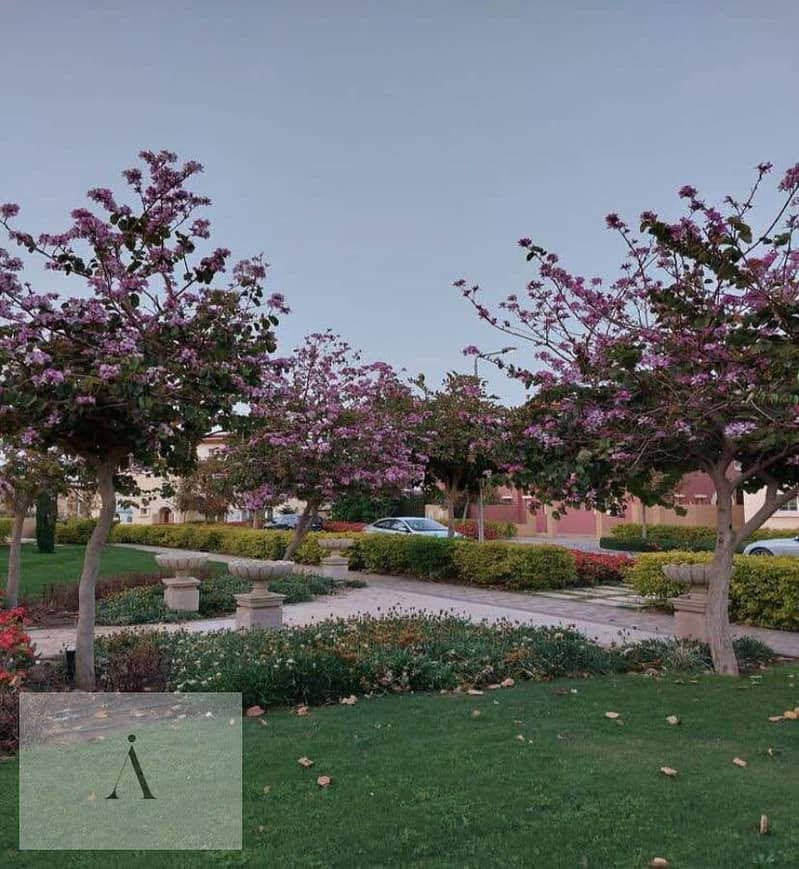 9 WhatsApp Image 2025-05-22 at 12.46. 47 PM - Copy. jpeg