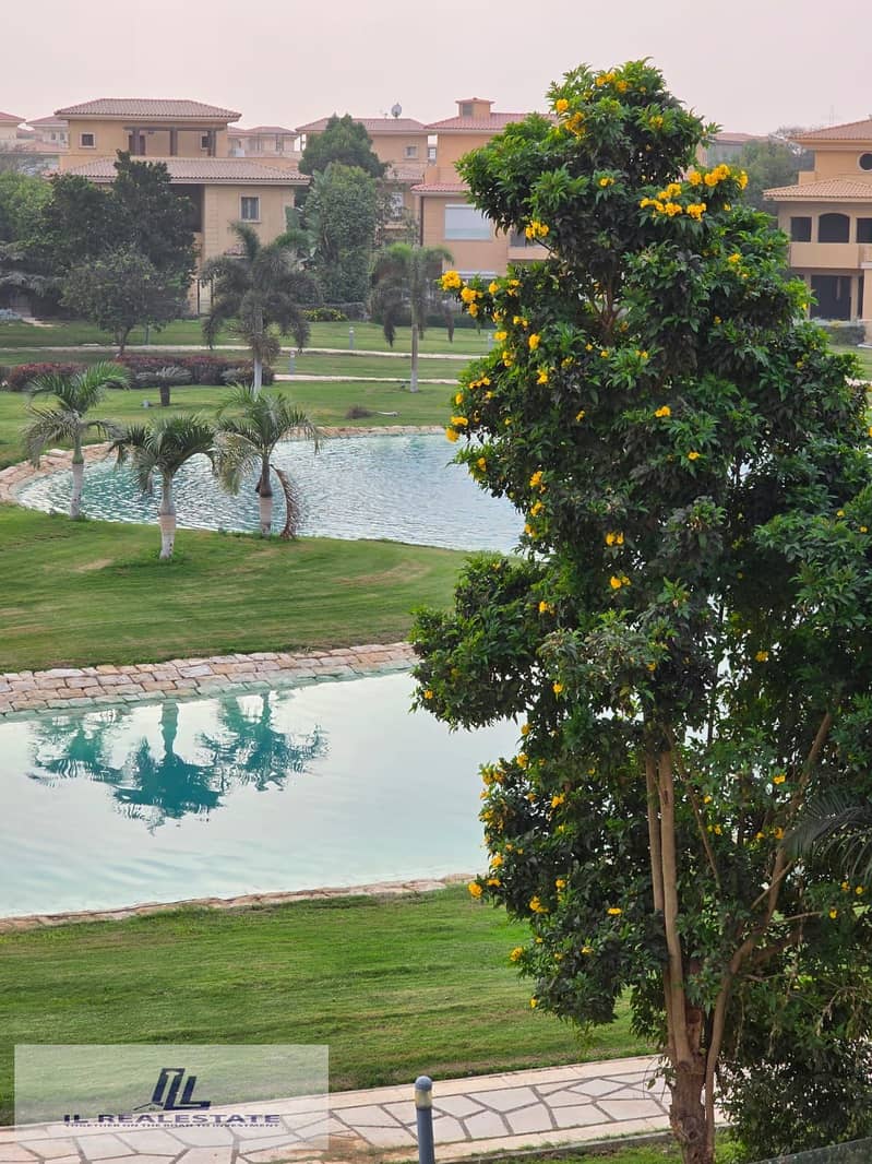 7 4f5a257f-43a3-4d6c-94e7-908ed0d0af31. jpg