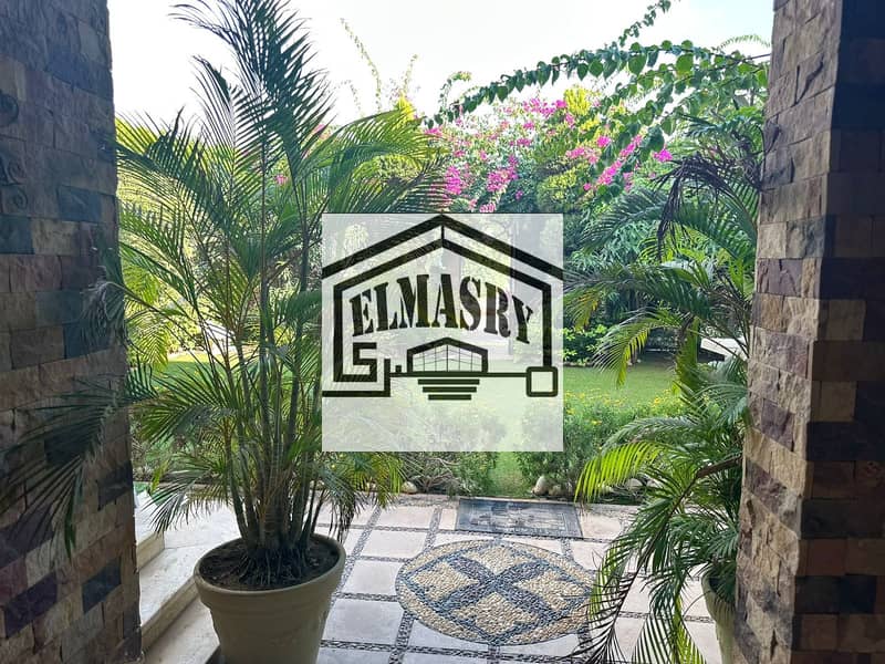 17 30826249-30b5-4e63-8666-6586ade6a736. jpeg