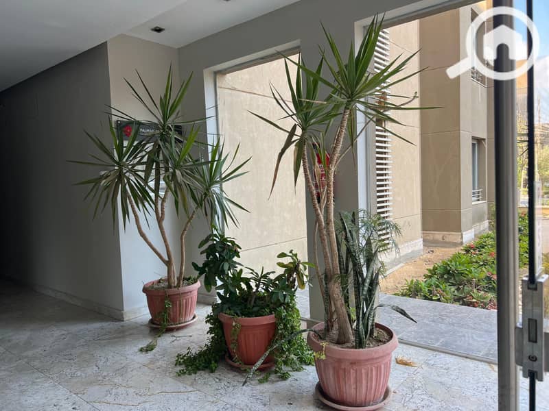 4 WhatsApp Image 2025-11-29 at 8.24. 02 PM. jpeg