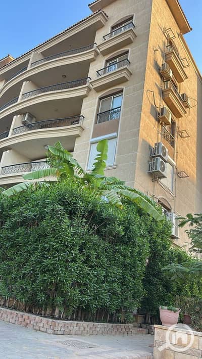 5 Bedroom Flat for Sale in New Cairo, Cairo - صورة واتساب بتاريخ 2025-11-30 في 12.31. 26_0bd2fa7e. jpg 5 Bedroom Flat for Sale in New Cairo, Cairo - صورة واتساب بتاريخ 2025-11-30 في 12.31. 26_0bd2fa7e. jpg