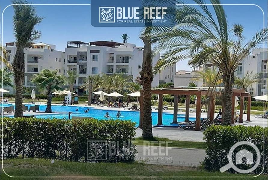 5 WhatsApp Image 2025-11-30 at 11.39. 59 AM (5). jpeg