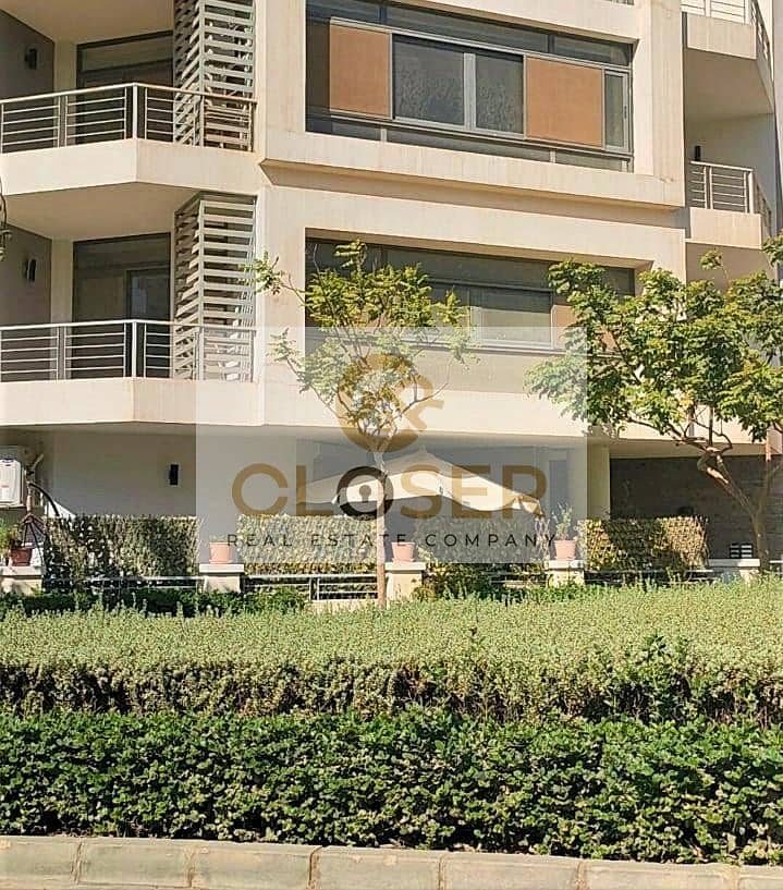 10 421842762_7913525061995042_1963431492221257948_n. jpg