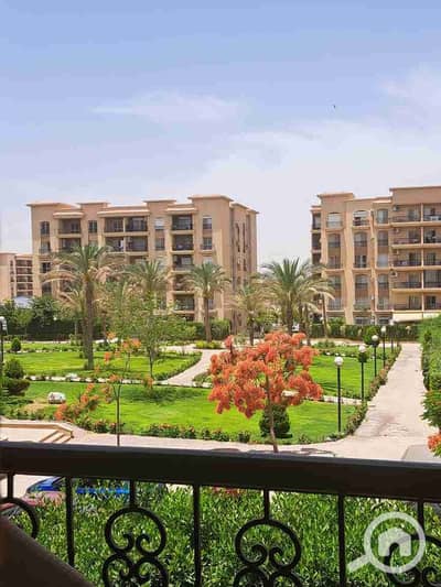 3 Bedroom Apartment for Rent in New Cairo, Cairo - 1000703669. jpg 3 Bedroom Apartment for Rent in New Cairo, Cairo - 1000703669. jpg