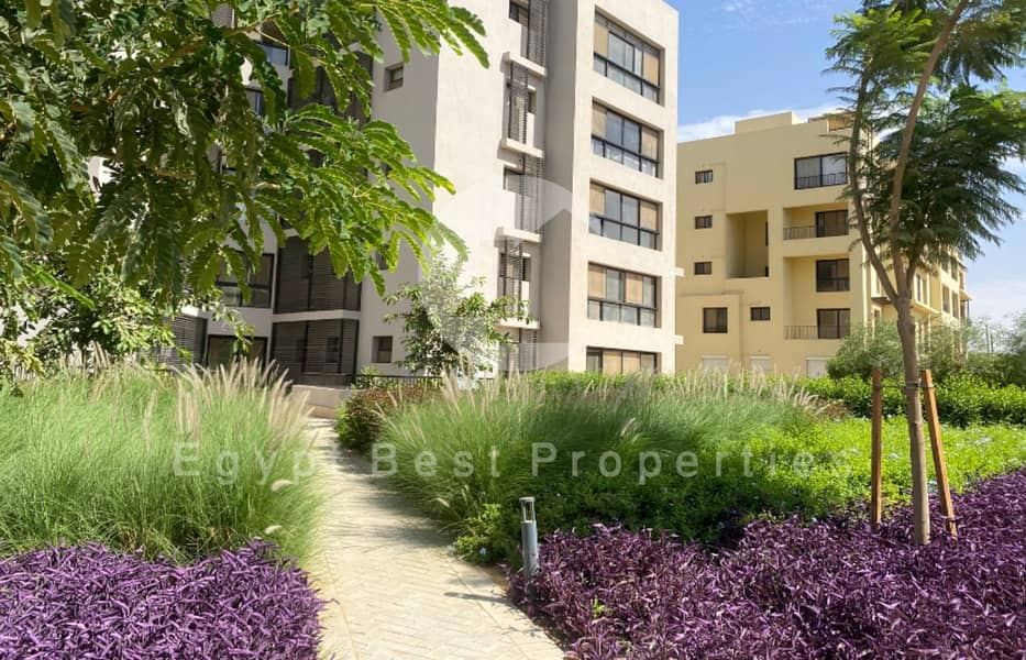 11 Screenshot 2024-09-15 131932. png