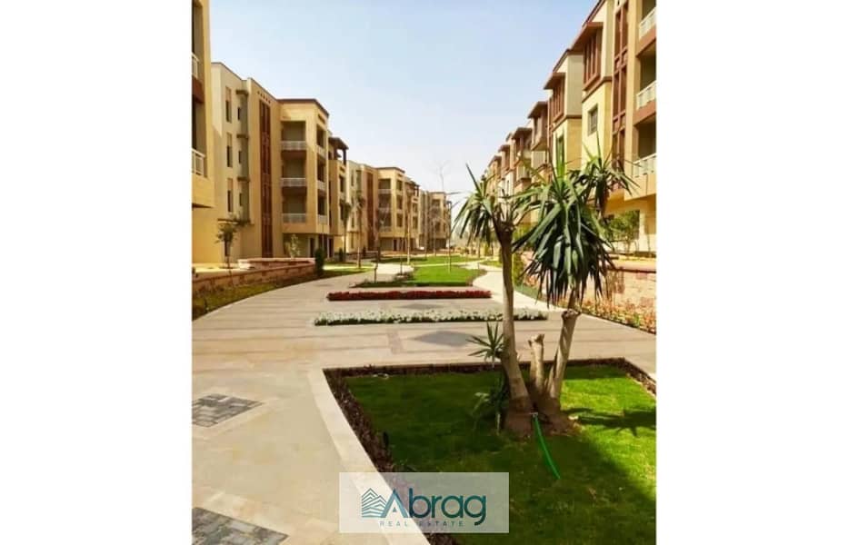 10 7891909-865dco. jpg