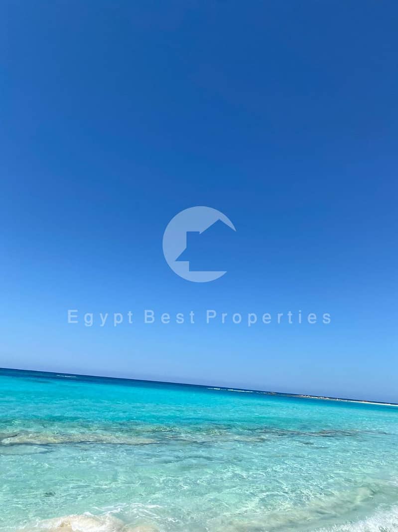 6 WhatsApp Image 2025-08-11 at 19.29. 04_192be587. jpg