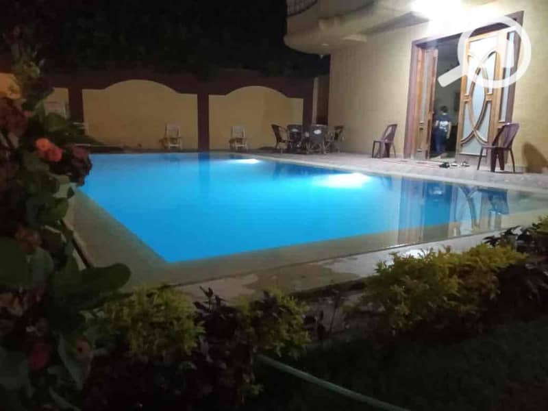 4 342e3725-65b2-47d6-b21a-5b46b2de1b5d. jpg