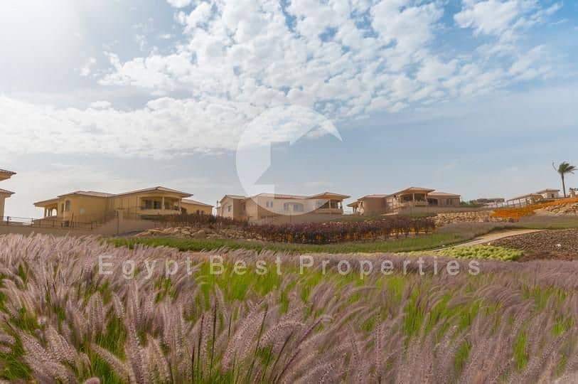 5 IMG-20250528-WA0314. jpg