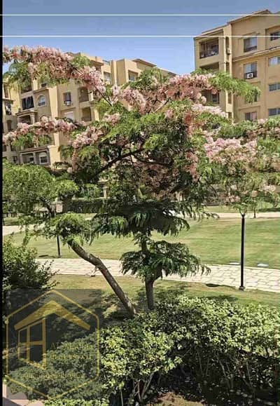 شقة 3 غرف نوم للبيع في مدينتي، القاهرة - IMG-20251130-WA0015. jpg شقة 3 غرف نوم للبيع في مدينتي، القاهرة - IMG-20251130-WA0015. jpg