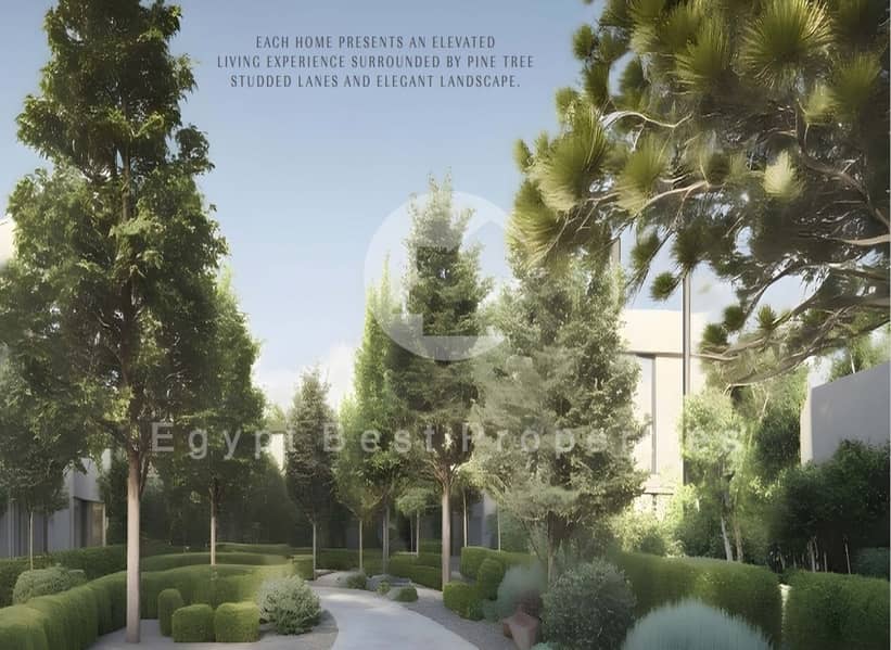 3 IMG-20251104-WA0150. jpg