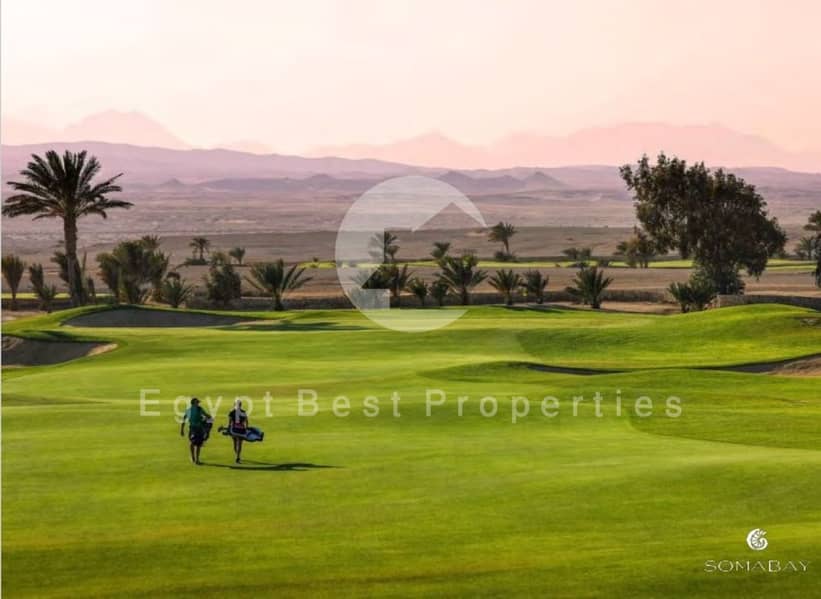 14 Screenshot_27-2-2024_144814_. jpeg