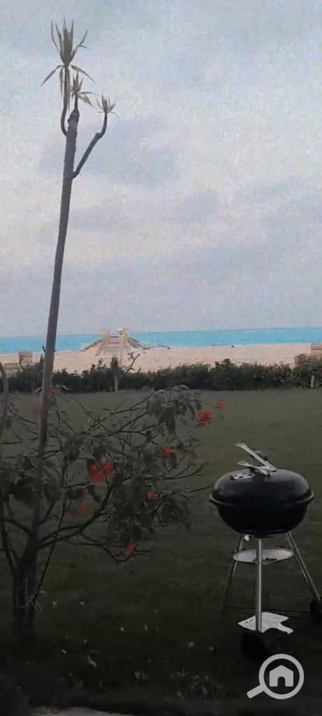 3 WhatsApp Image 2025-11-27 at 4.24. 59 PM (2). jpeg