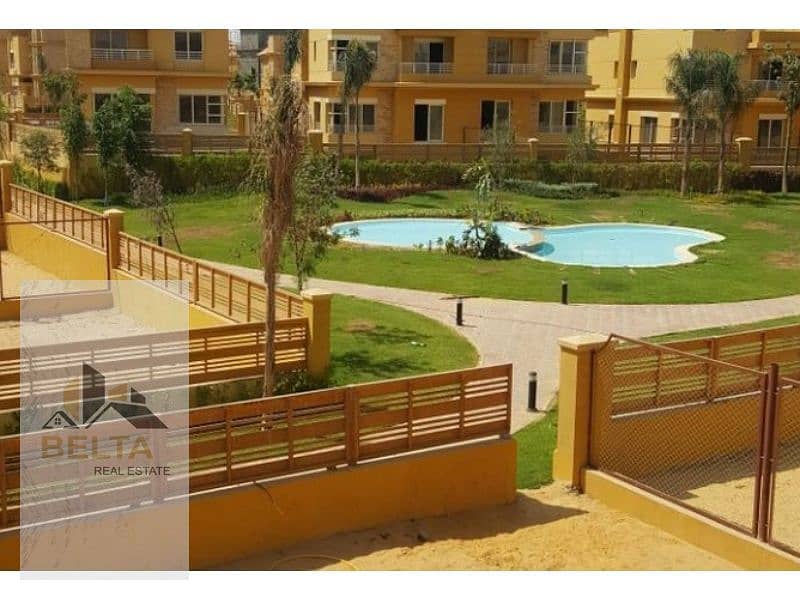 15 247503-353cbo. jpg