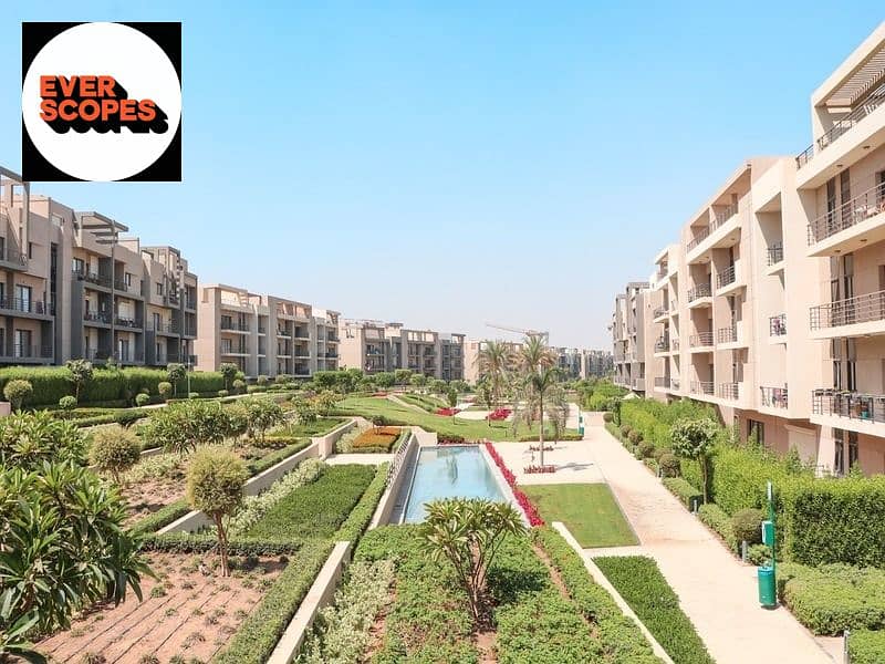 2 WhatsApp Image 2025-11-02 at 17.36. 29_1c4ab13e. jpg