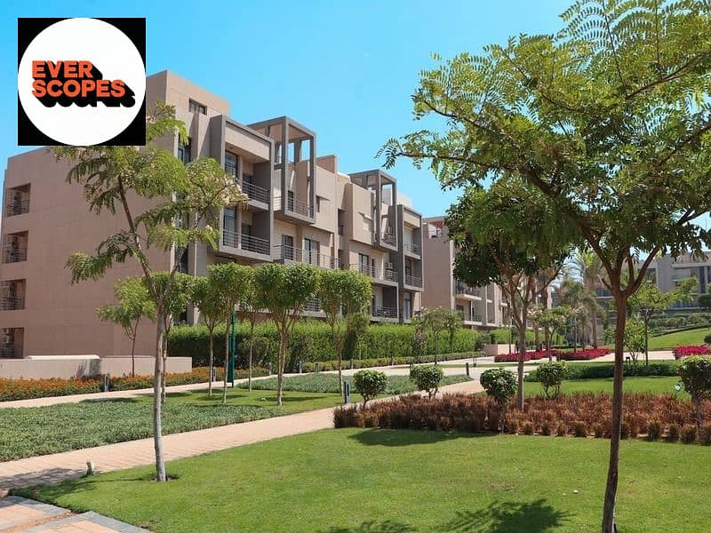 4 WhatsApp Image 2025-11-02 at 17.36. 27_a50504a1. jpg