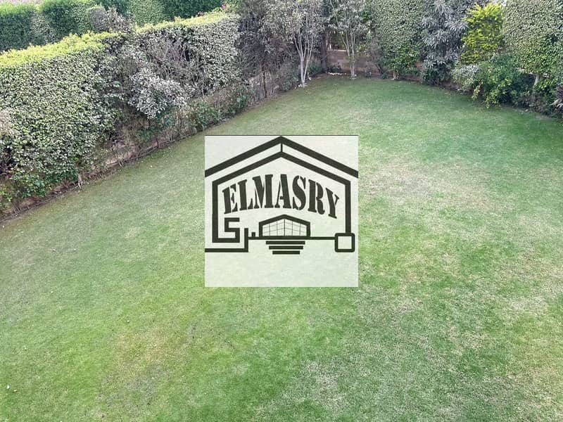 10 97846a84-2787-460b-831f-22ddb6b94534. jpg