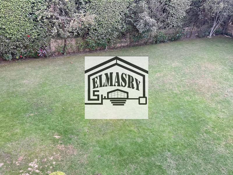 11 2409533a-ad0f-4805-8d14-4aba387d599a. jpg