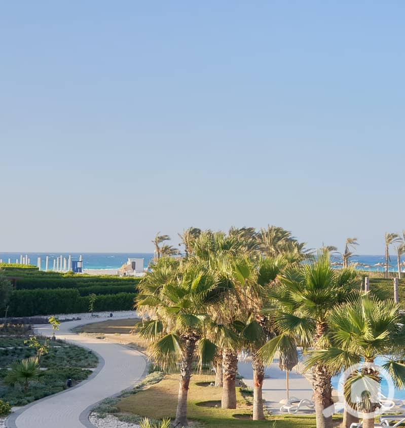 4 WhatsApp Image 2025-11-27 at 3.32. 37 PM. jpeg