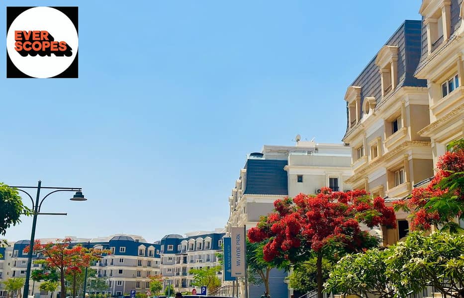 6 2024-06-10 (3). jpg