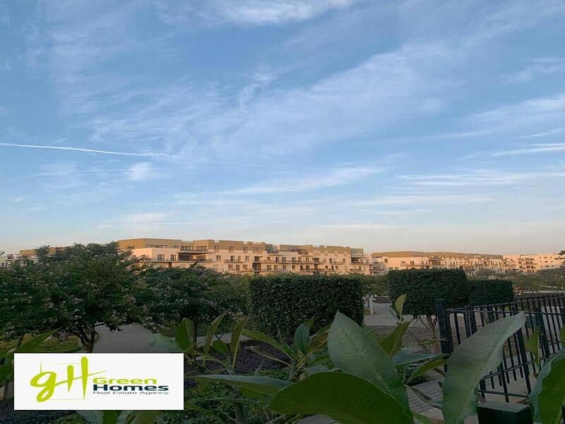 3 WhatsApp Image 2024-02-19 at 2.48. 36 PM (1). jpeg